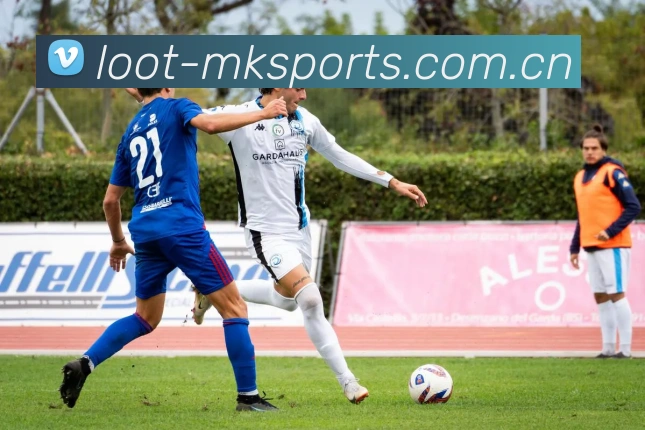 MK体育（中国）官方网站-MK SPORTS 多端同步